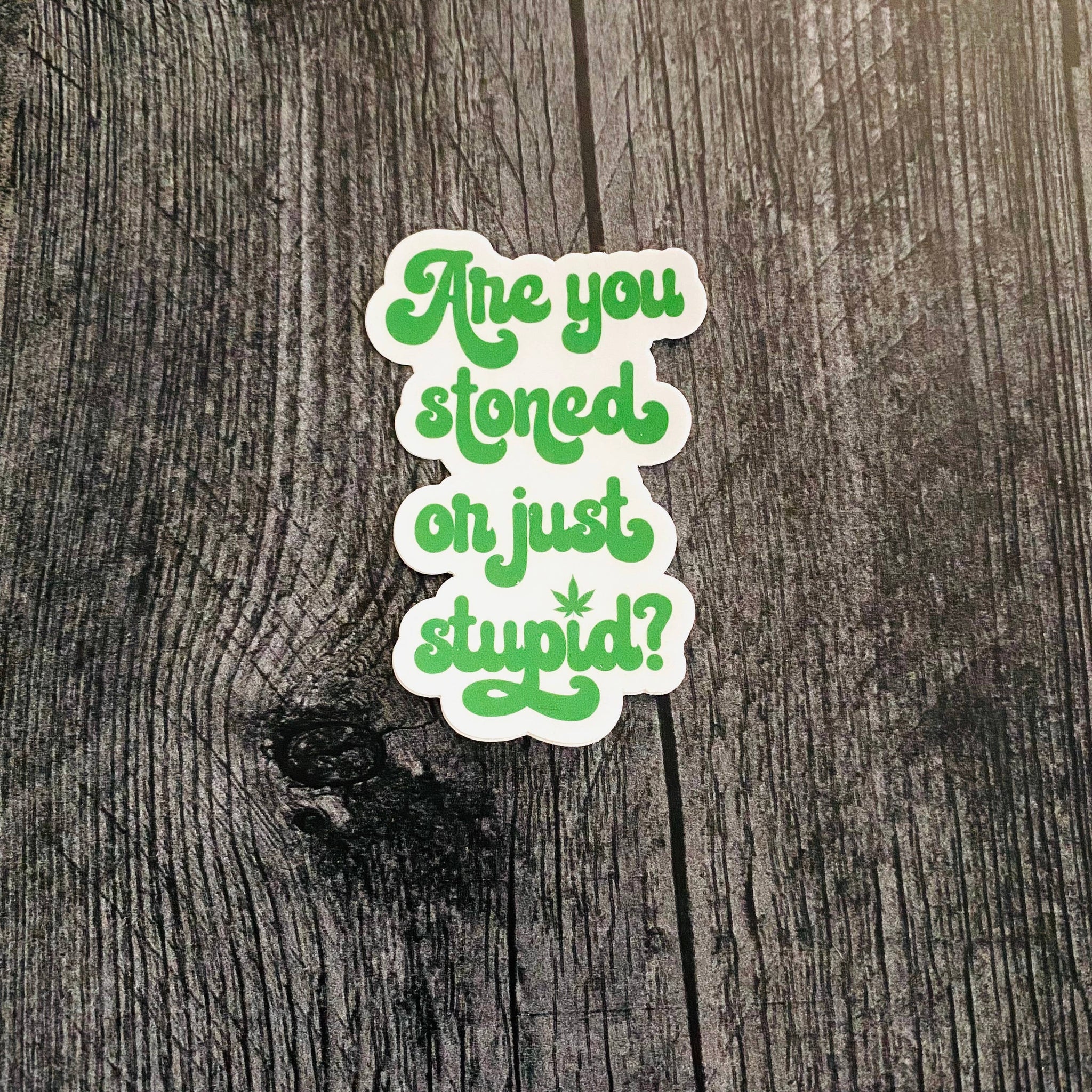Are You Stoned or Stupid Sticker