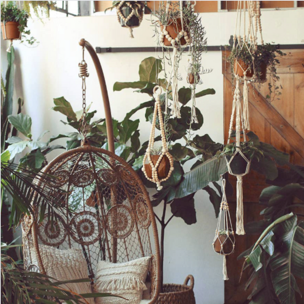 Eco-Friendly Beaded Plant Hanger