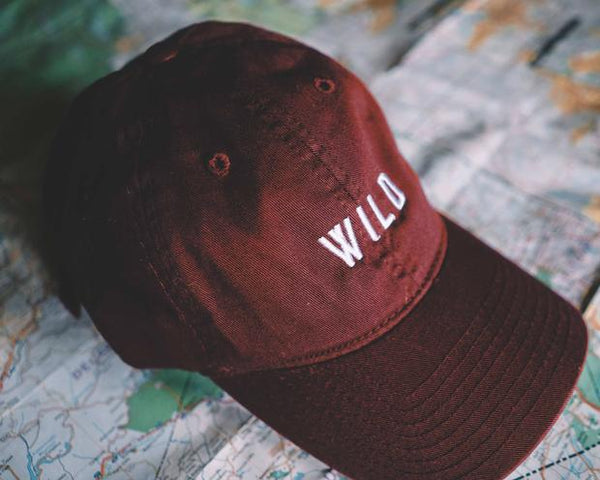 Wondery Original Wild Dad Hat in Navy